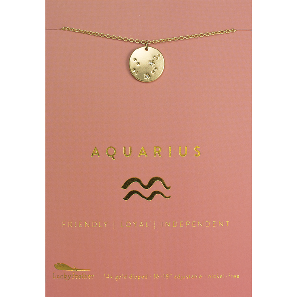 Lucky Feather Zodiac Necklace - Aquarius