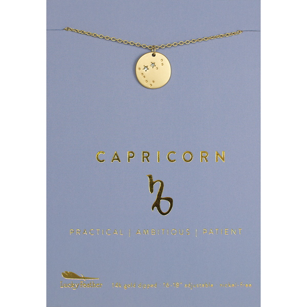 Lucky Feather Zodiac Necklace - Capricorn